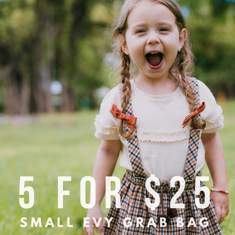5 for $25 Blind Grab Bag of Small Evy Bows